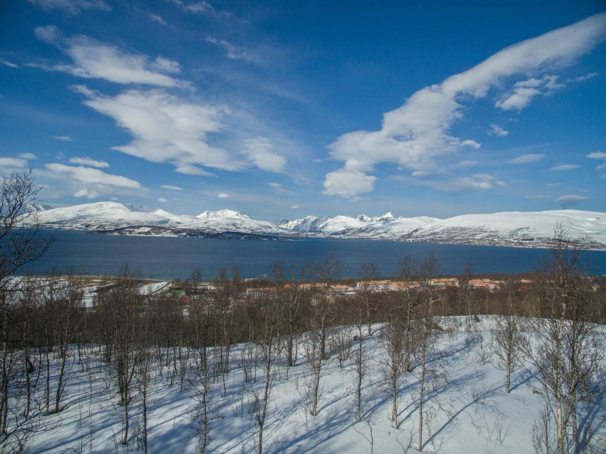 Enter Tromso - The Mountain View Lejlighed Eksteriør billede